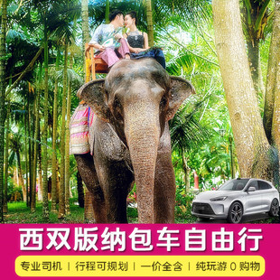 云南西双版纳旅游包车带司机中科院植物园野象谷傣族园纯玩包车
