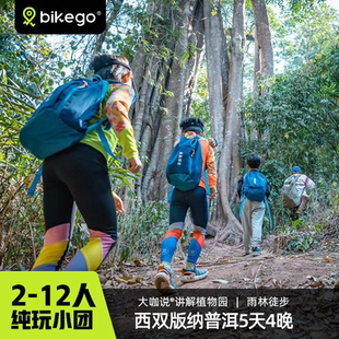 bikego云南西双版 纳亲子游5天4晚雨林徒步植物园讲解纯玩小团旅游
