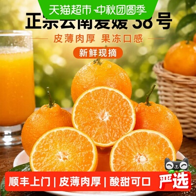 正宗爱媛橙38号果冻橙新鲜橙子