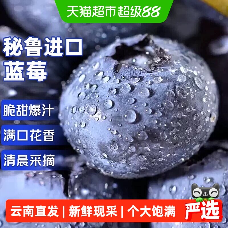 秘鲁蓝莓进口蓝莓高山鲜果应季新鲜大果蓝莓孕妇