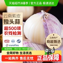 云南新鲜现挖紫皮独头蒜大蒜头红皮湿蒜当季非干瓣蒜山东