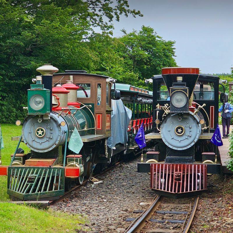 [Ecoland森林主题公园-大门票]极速出票｜当日可订