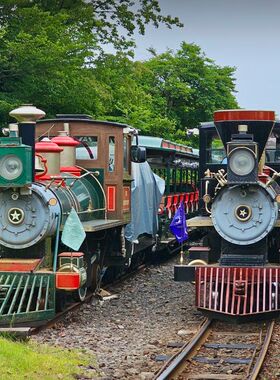 [Ecoland森林主题公园-大门票]极速出票｜当日可订