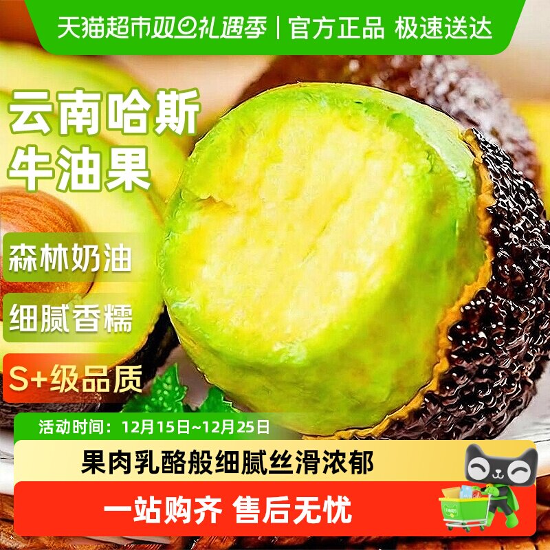 云南哈斯牛油果应当季新鲜水果整箱特大果孟连即食鳄梨孕妇