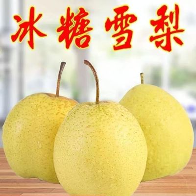 雪梨河北雪梨赵州雪花梨新鲜水果甜脆可口水果现摘现卖