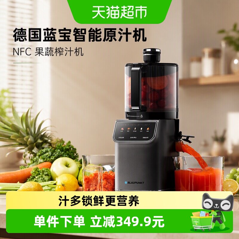 Blaupunkt蓝宝原汁机大口径1台图片