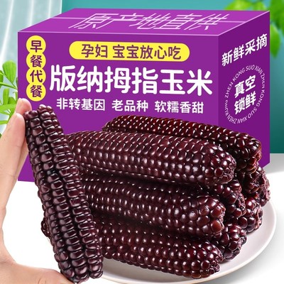 新货西双版纳香糯拇指小玉米新鲜手指嫩紫糯玉米真空黏花糯棒特产