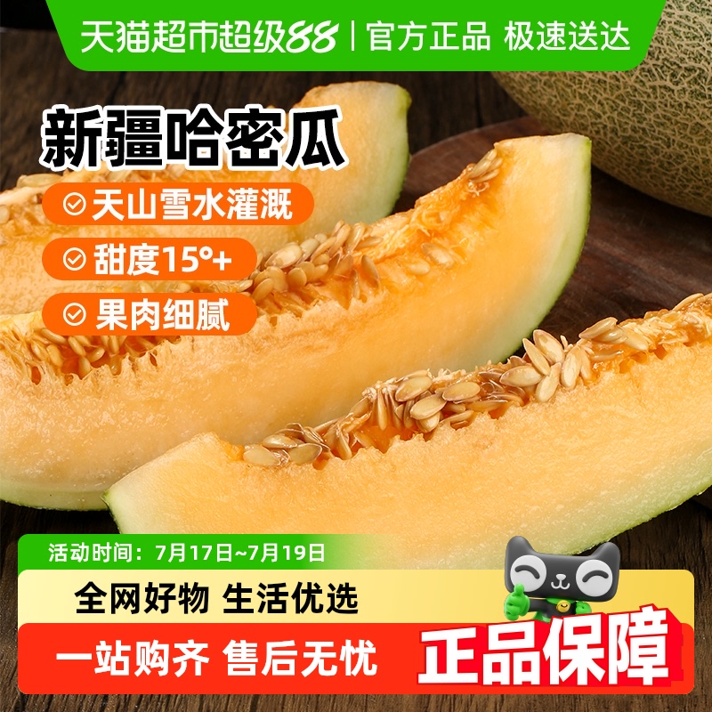 新疆西州蜜哈密瓜新鲜水果哈密瓜网纹甜瓜鲜果香甜多汁顺丰