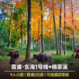 宁德霞浦2日游 杨家溪榕枫公园+东壁看日落+北岐日出+东海一号线