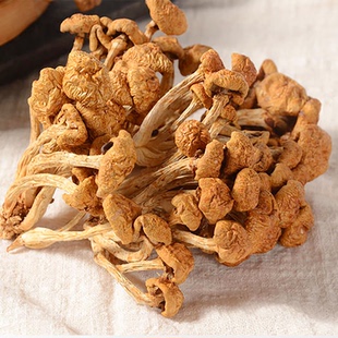 珍珠菇香菇蘑菇食用菌菇 包 滑子菇干货50g 闽妃