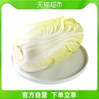 大白菜(黄心)(称重)约2.5kg/颗 优惠价23.94元