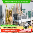 北欧风ins简约创意透明玻璃花瓶水培绿植鲜花餐桌插花桌面小摆件