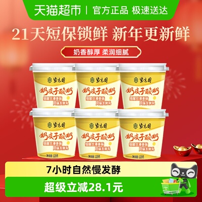 紫光园奶皮子低温酸奶