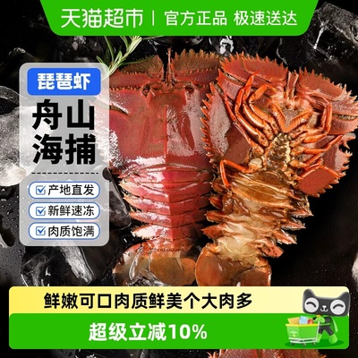 赫敏特大新鲜冷冻舟山琵琶虾