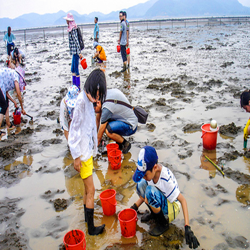 [赶海一号-门票+自助烧烤]福州连江赶海一号门票