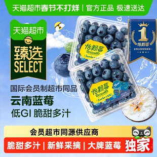 臻选Driscolls怡颗莓云南蓝莓大果低GI脆甜多汁当季新鲜水果