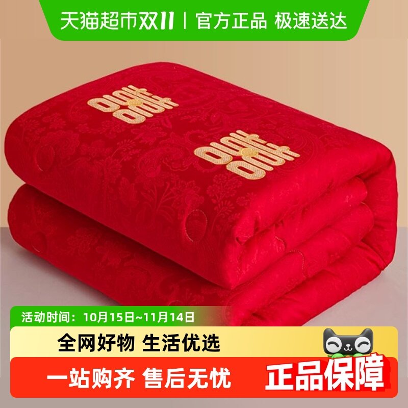 �ϼ���2025�¿��ϲ����鱻���ϲ��������ϲ���ﶬ��������