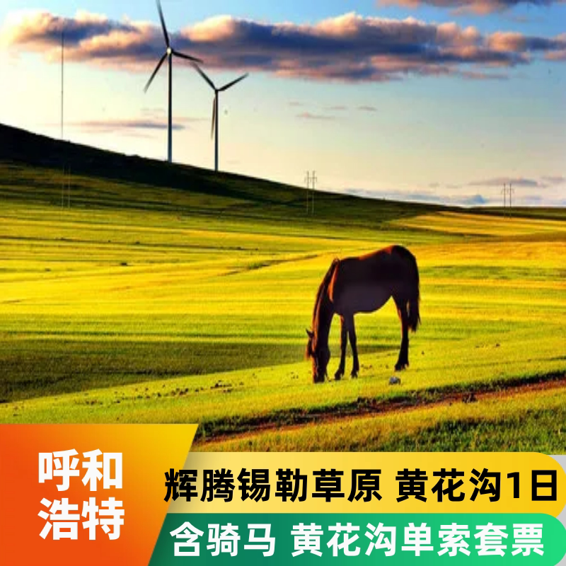 内蒙古呼和浩特旅游 辉腾锡勒草原含骑马黄花沟门票纯玩1日游