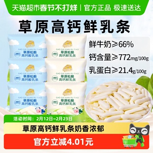 松酪内蒙古草原高钙烤奶条皮子奶酪鲜乳脆条酥脆饼干糖果儿童零食