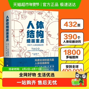 人体结构绘画重点人体绘画 崔元喜 TACO人体 动画人体结构