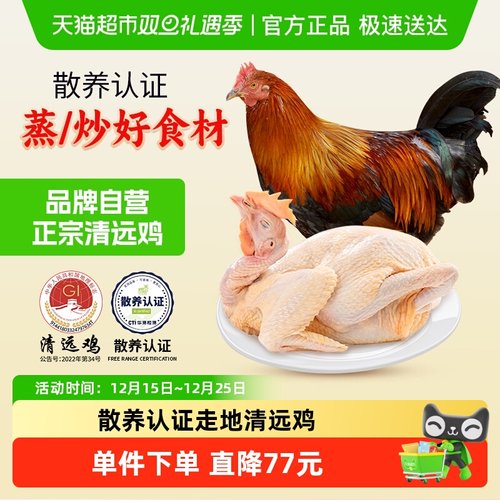 天农清远鸡童子鸡生态散养整鸡