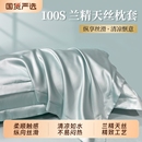 枕套双面真丝一对装 轻奢天丝夏季 高支冰丝凉整套48x74cm枕头枕套