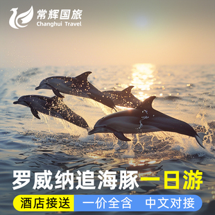 巴厘岛旅游罗威纳追海豚浮潜海钓kuberATV越野车滑翔伞包车一日游