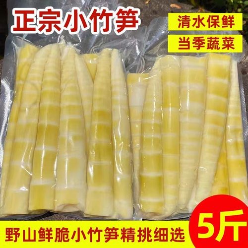 春笋竹笋新鲜雷笋现挖小竹笋雨后春笋农家火锅批发商用蔬菜