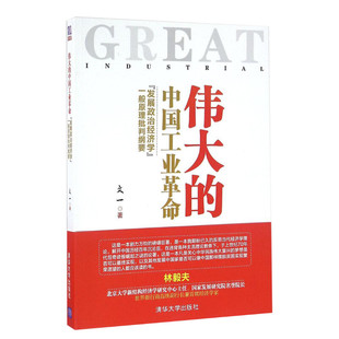 伟大的中国工业革命: