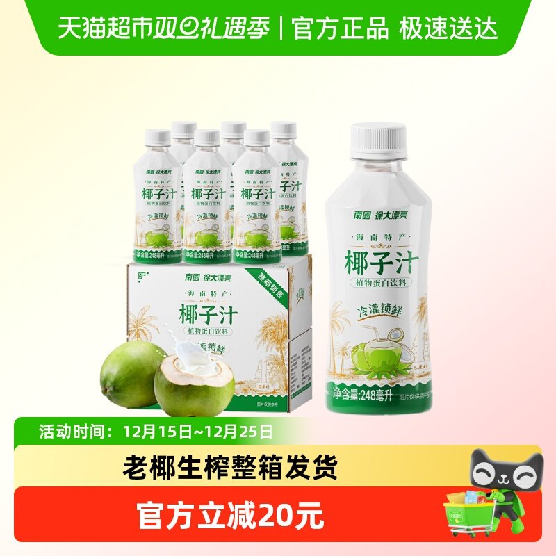 南国海南特产椰子汁椰奶6瓶