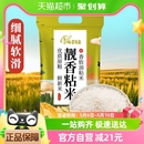 楚农晶靓香粘米5kg优质长粒米香米晚稻油粘米当季 新米大米10斤