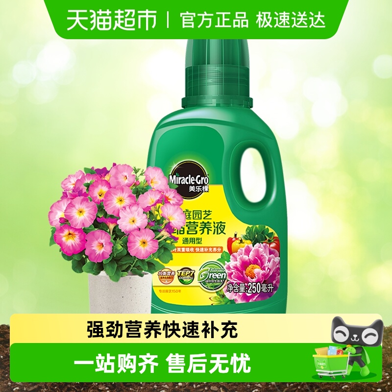 һʡֿŨӪҺͨʸϷʻֲ