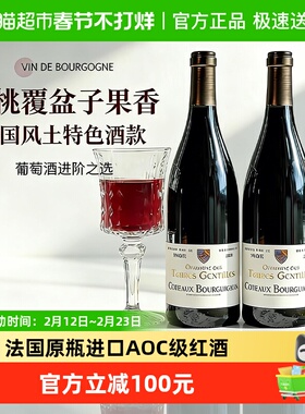 法国原瓶进口干红葡萄酒勃艮第AOC级热红酒过新年货送礼盒750ml*2