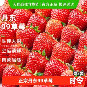 丹东草莓99红颜正宗奶油大甜草莓当季新鲜水果东港九九整箱空运