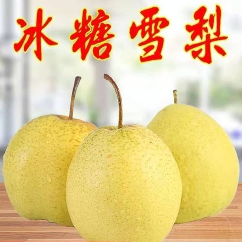 雪梨河北雪梨赵州雪花梨新鲜水果梨子甜酥脆高水分甘甜新鲜采摘