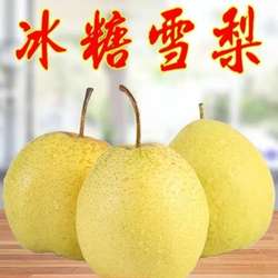 正宗雪梨河北特产赵县雪花梨子新鲜水果梨子当季雪梨