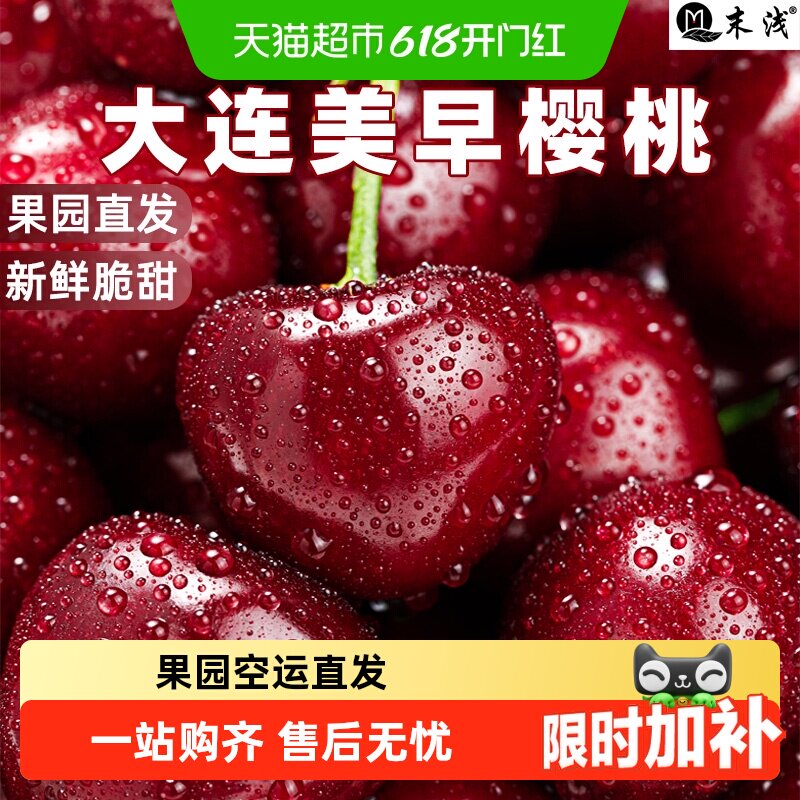 末浅大连美早大樱桃新鲜应季现摘