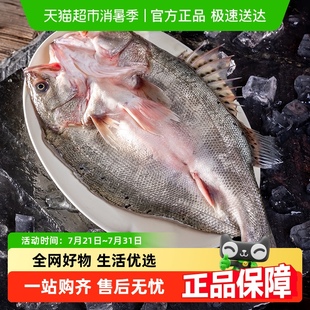 黃小漁三去開背海鱸魚商用白蕉深?？爵~ 下拉領淘金幣更優惠