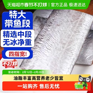 带鱼新鲜冷冻带鱼段刀鱼中段特级大无冰东海小眼海鲜