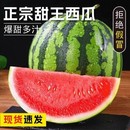 臻選脆甜麒麟瓜西瓜新鮮水果薄皮紅沙瓤手剝撕8424美都大果現(xiàn)摘