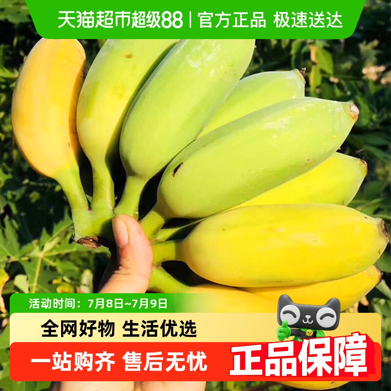 ˳ʡʳƻС㽶ժ2Ƥ20.9Ԫ