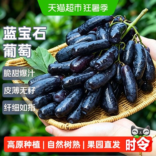京运达云南蓝宝石葡萄