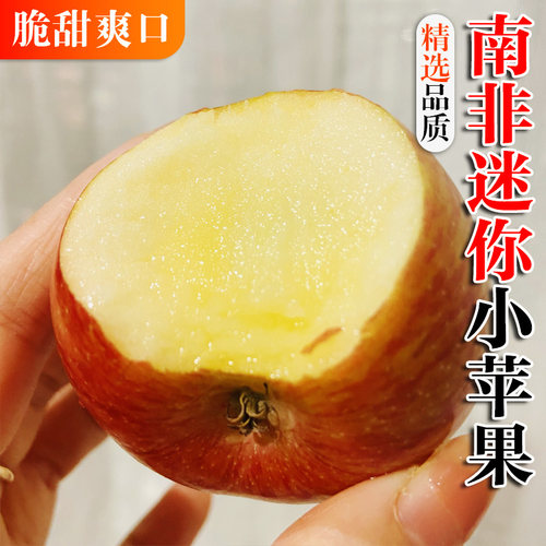 南非牛顿小苹果进口gala果加力果姬娜果脆甜富士冰糖新鲜水果包邮