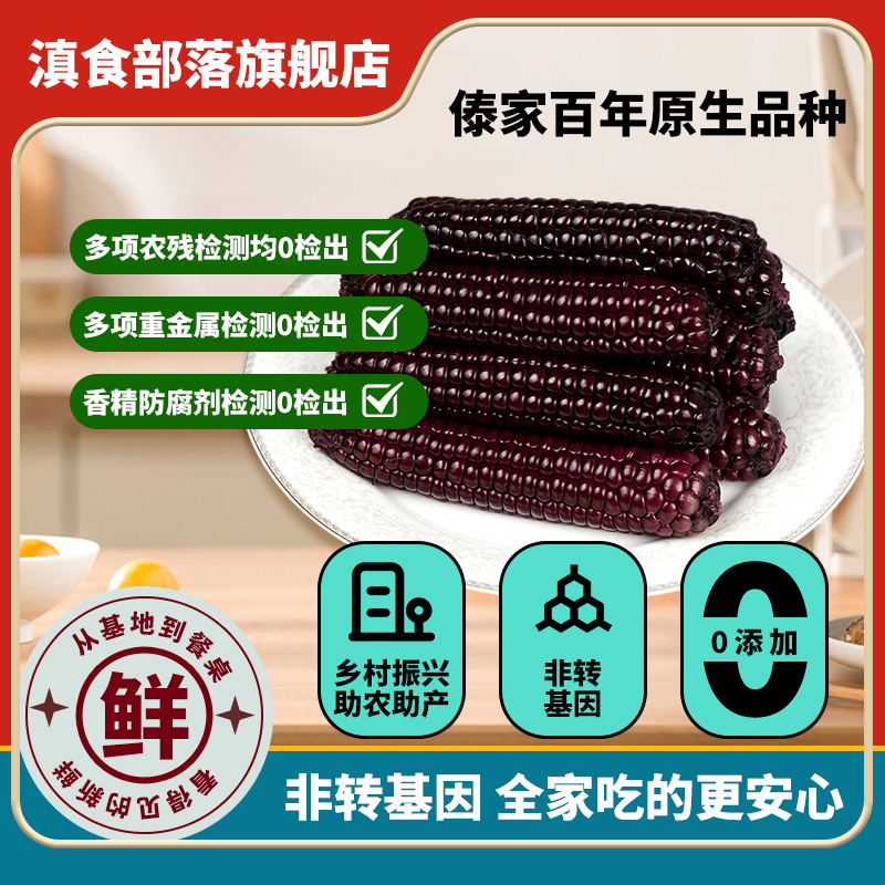云南西双版纳香糯拇指小玉米新鲜手指嫩紫糯玉米特产
