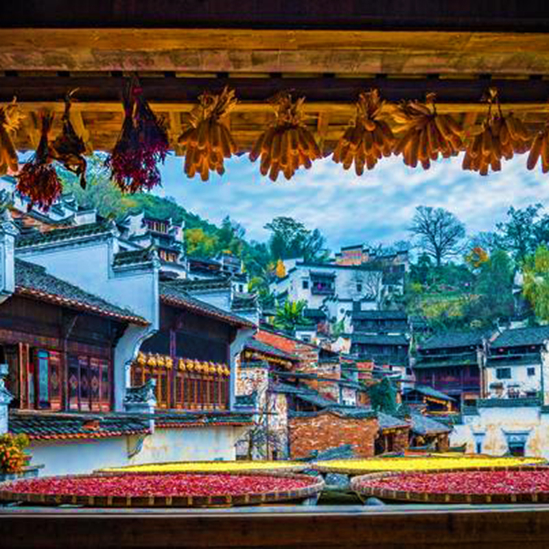 乌镇西塘南浔婺源宏村5日