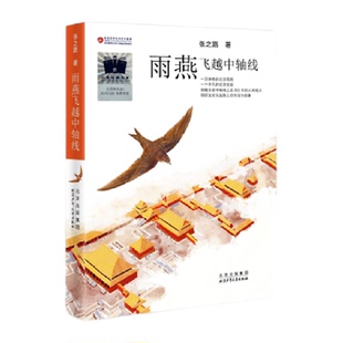 雨燕飞越中轴线 7-12岁儿童文学故事小学生阅读新华书店