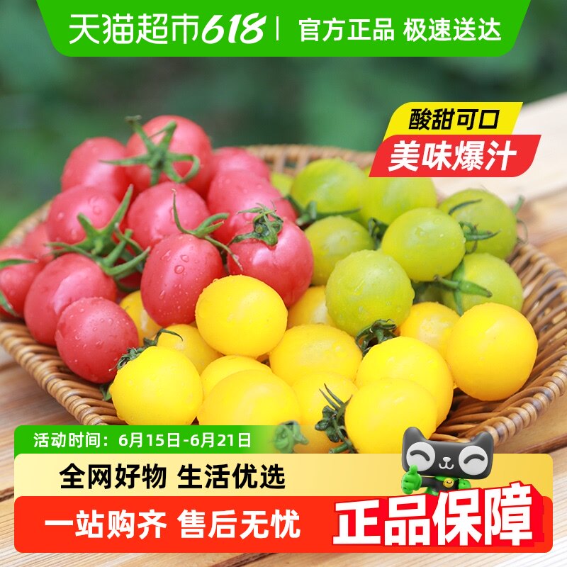 ��ɫ��װС�������������ɫ����������ʥŮ��С����