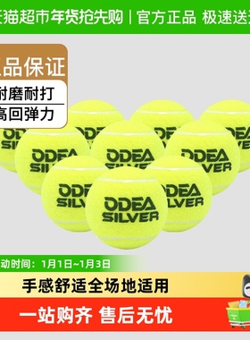 欧帝尔网球Gold专业Silver款Diamond训练球高回弹ROSE无压散网球