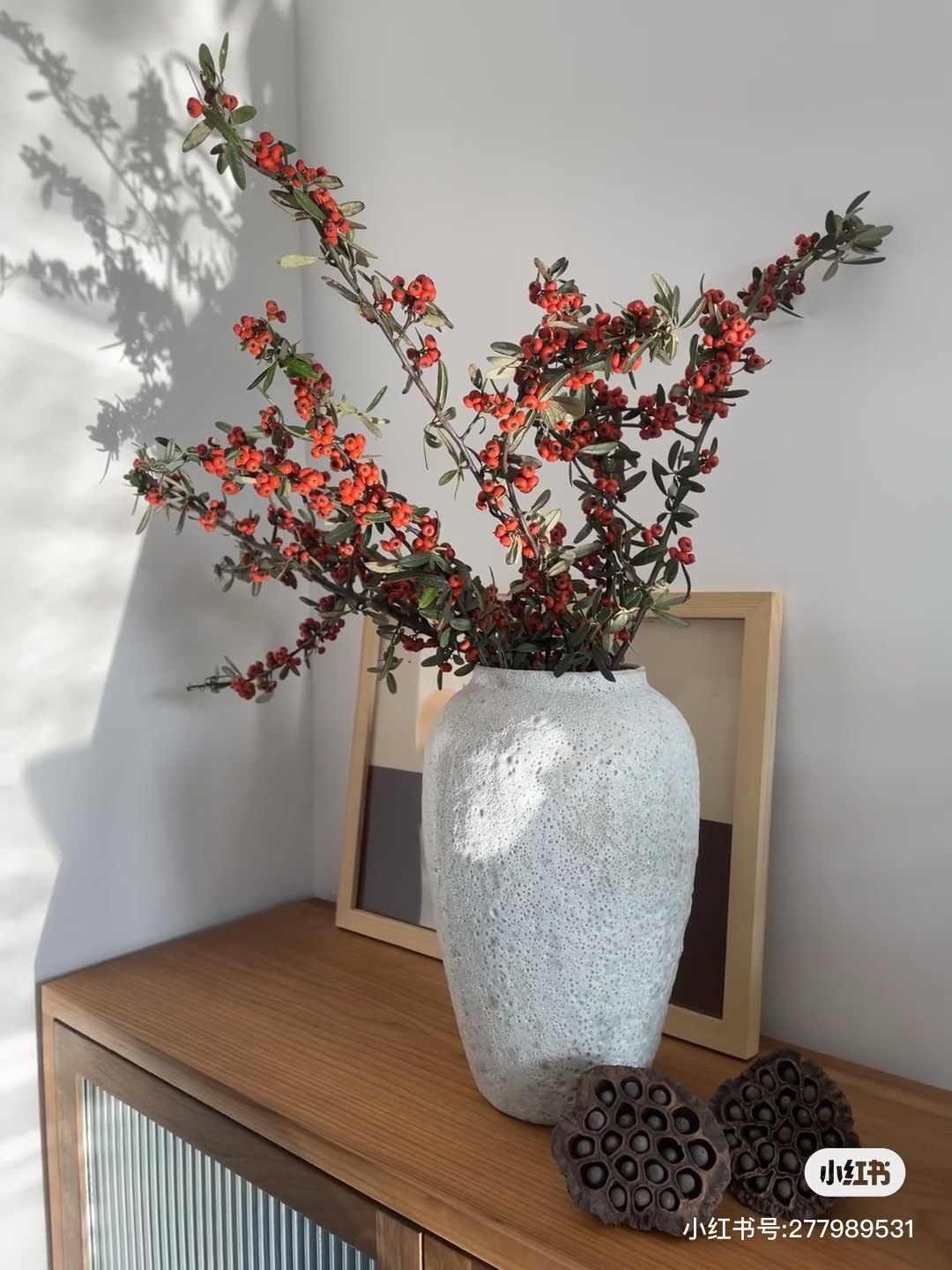 不售后，沙棘果1扎，购买三单包邮