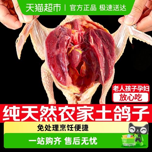 卖鱼郎先生鸽子新鲜现杀